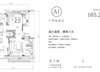 冠景君悅湖