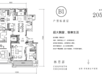冠景君悅湖