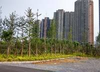新合鑫觀悅