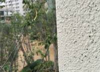 保利永威西溪花園