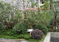 保利永威西溪花園