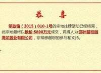 碧桂園萬山湖壹號(hào)