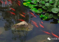 保利永威西溪花園