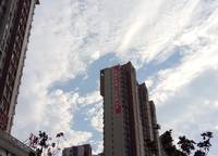 陽光花苑