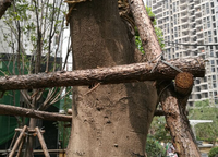 保利永威西溪花園