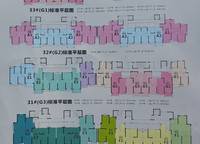 金科城