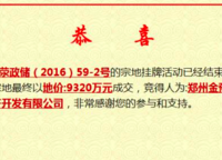 金地格林小城