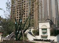朗悅公園道1號(hào)