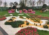 碧桂園·龍城