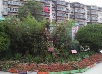 互助路小學(xué)北校區(qū)