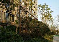 建業(yè)春天里