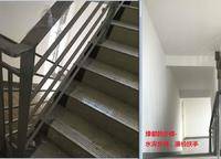 綠都脈棟