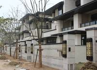建業(yè)春天里