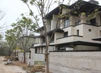 建業(yè)春天里