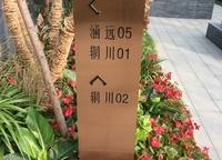 鄭地美景東望（東望云朗）