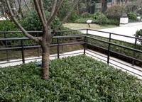 建業(yè)春天里