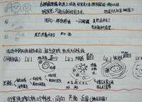 鄭州市實驗高級中學