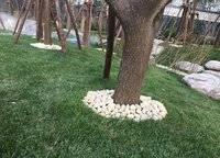 保利永威西溪花園