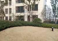 正商書香華府