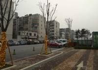 盛世臥龍城