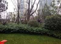 保利永威西溪花園