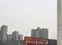 金林雙璽
