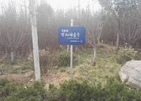 碧桂園萬(wàn)山湖壹號(hào)