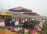 碧桂園萬(wàn)山湖壹號(hào)