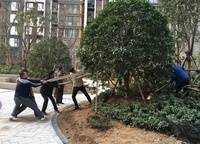 奧蘭和園