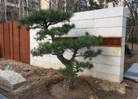 奧蘭和園