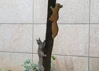 二七區(qū)跨世紀幼兒園