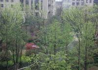 康橋九溪郡