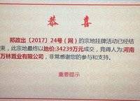 東方宇億萬林府