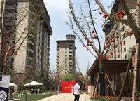 建業(yè)運(yùn)河上院