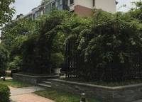 綠地老街