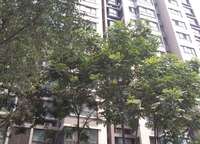 正商潁河港灣2