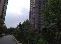 中原新城公園一號