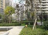 正商?hào)|方港灣