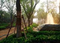海馬公園