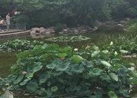 康橋溪山御府
