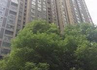 康橋溪山御府