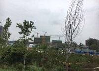 亞新紫藤公館