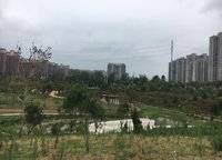 亞新紫藤公館