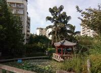 永威森林花語