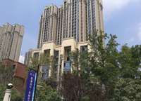 中建觀湖國際