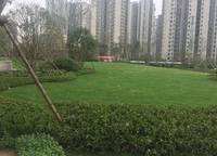 豫發(fā)豫園