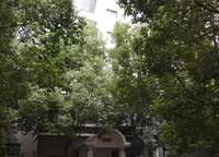 永威鑫城