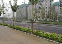 魯能公館