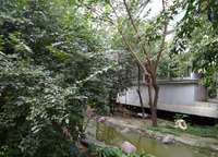 財(cái)政局家屬院