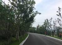 美景素心園